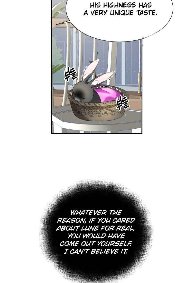 The Fake Princess' OP Bunny Chapter 13 57